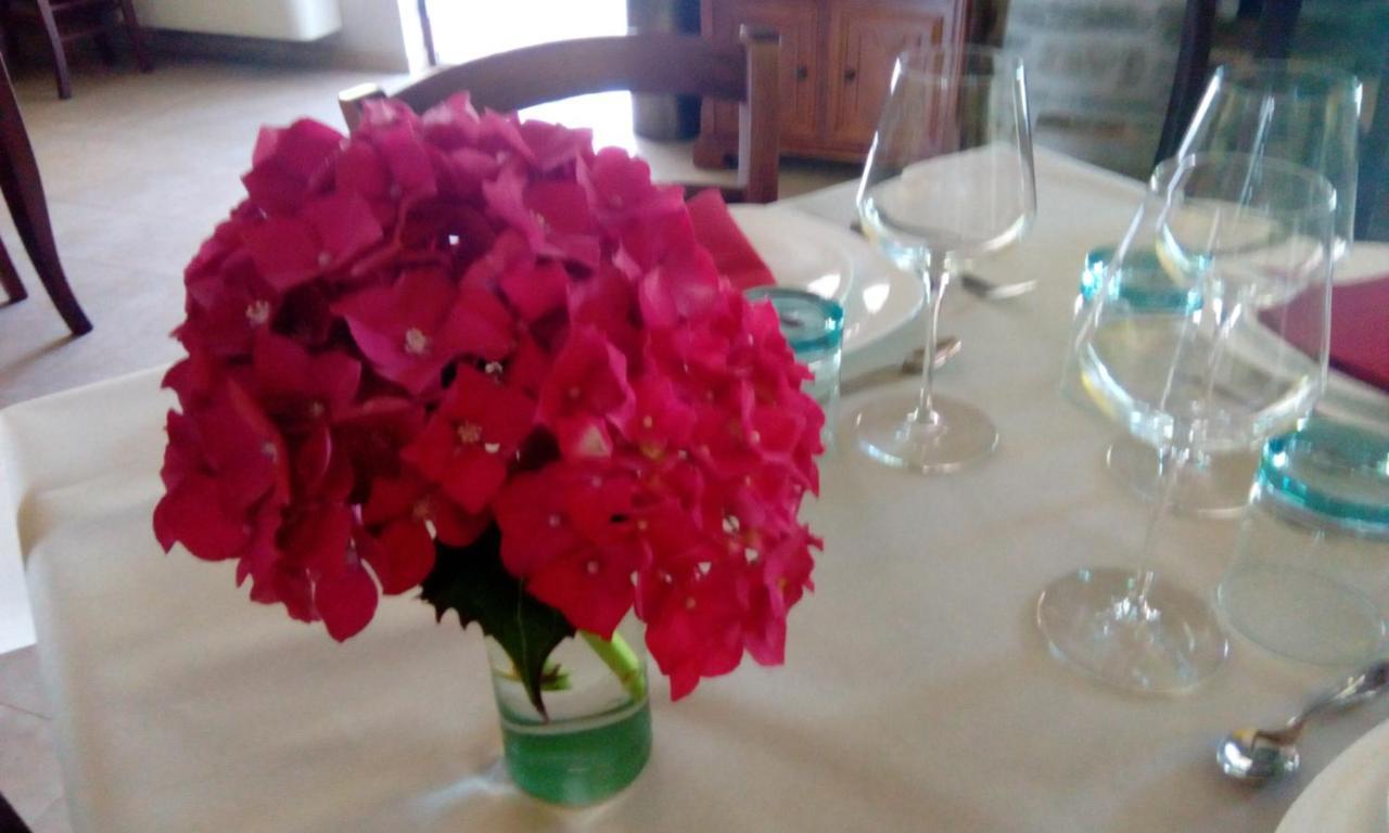 Agriturismo Nizur'In Roccaverano Ngoại thất bức ảnh